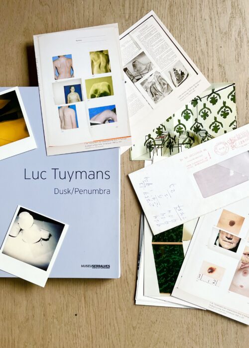 luc-tuymans-map-dusk-penumbra-limited-edition-mike-art-kunst