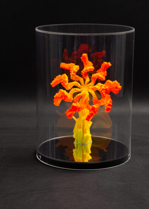 Miguel chevalier cannabis-sativa-orange jaune Edgar Allan poe